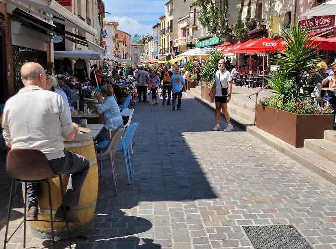 Апартаменты Bienvenue Dans Le Roussillon *